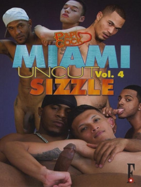 Miami Sizzle #4 DVD Flava Works Big Cocks SO GEIL!