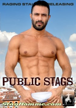 PUBLIC STAGS DVD - RAGING STALLION STAG HOMME