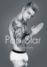 Pop Star DVD Men Wolfis Porno & Popstars A-Z!