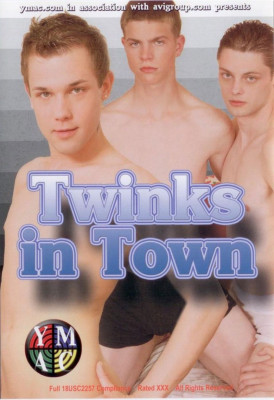 TWINKS IN TOWN DVD - YMAC