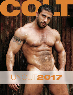 UNCUT 2017 Farbkalender 100 % Hardcore NEU!