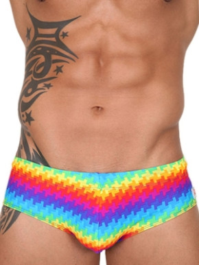 Pistol Pete Pixel Brief Swimwear Multi Wolfis Bademode!