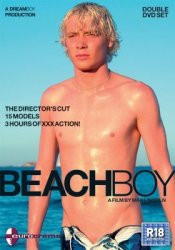 Beach Boys Double DVD Set