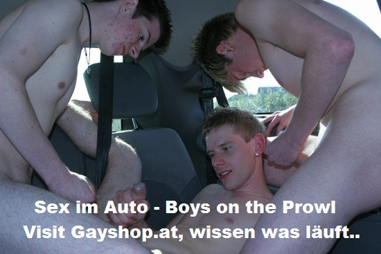 Sex im Auto (Auto Stoppen)