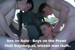 Sex im Auto (Auto Stoppen)