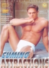 Cum Attractions DVD Pacific Sun Portofrei