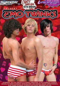 Emo Twinks DVD - Saggerzskaterz - Wolfis Bestpreis