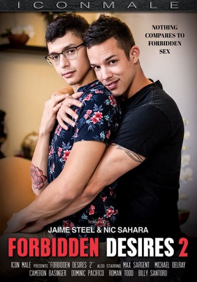 Forbidden Desires Part 2 DVD Iconmale Portofrei