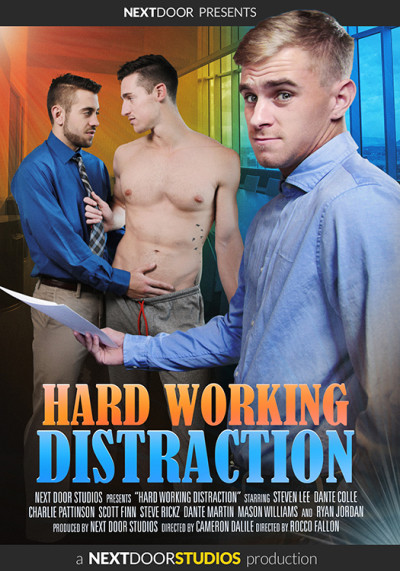 Hard Working Distraction DVD Weihnachtshit 20 € billiger!
