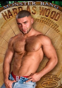 Hard as Wood DVD Raging Stallion Stallion mit Kerlen!