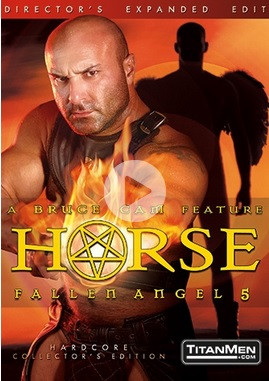Horse DVD Fallenangel 5 DVD Titan 3 Disc Portofrei