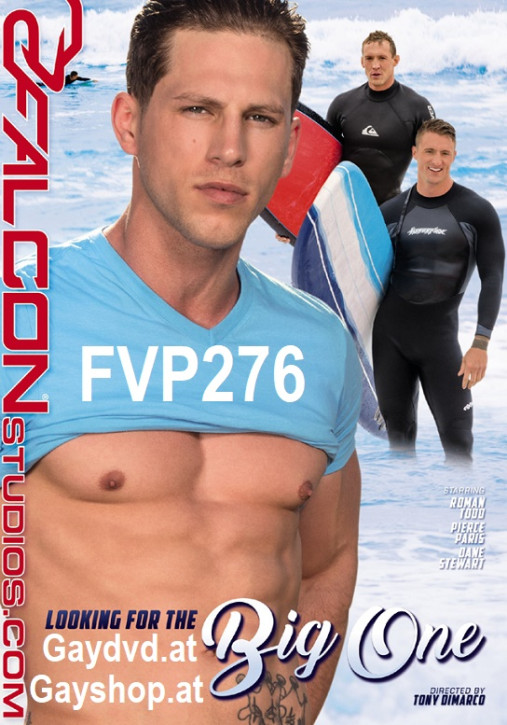 Looking For The Big One DVD FVP 276 Falcon Studios
