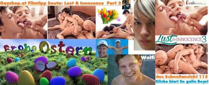 Innocence 3 DVD Wolfi Freshmen Project April 2018 News