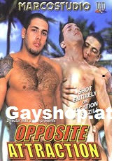 Opposite Attraction DVD - Marcostudio - Marco Studio