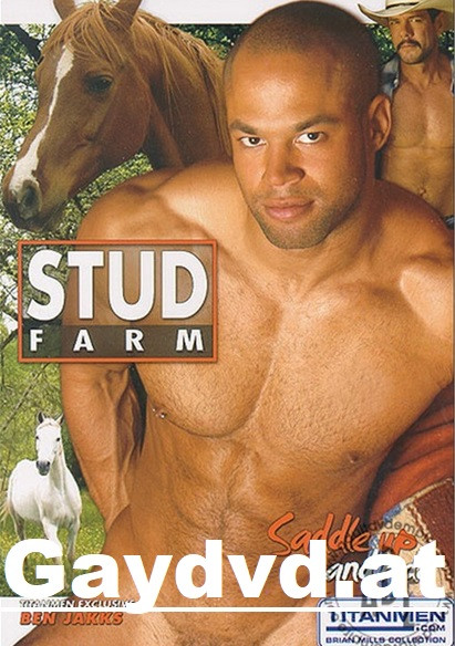 Stud Farm Portofrei Titan Men DVD Gaydvd Gayshop Gay Sex Graz Sexshop