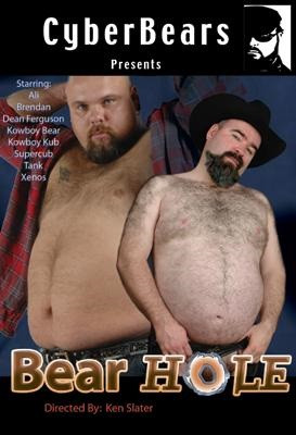 Bear Hole DVD Cyber Bears