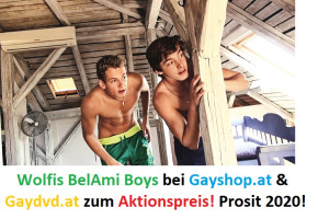 Boot Camp 1 DVD FRESHMEN Dreamboys BelAmishop