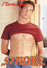 Full Length DVD - Falcon Aktion Nr. 1-Nr. 99 je 24,99