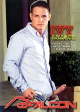 Full Length DVD - Falcon Aktion Nr. 1-Nr. 99 je 24,99