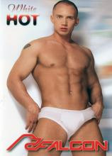 Full Length DVD - Falcon Aktion Nr. 1-Nr. 99 je 24,99