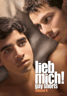 LIEB MICH! - Gay Shorts Volume 6 DVD Neue Spielfilme!