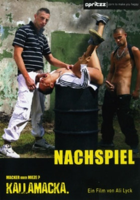 Nachspiel DVD Kallamacka Gay Revenge