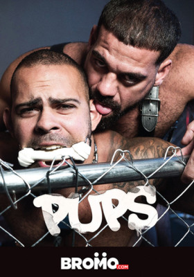 Pups DVD Bromo Studio KERLE OSTERHIT statt 59,75 €