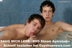 Gayshopnews - Ayorstudios - STEAM DVD Blockbuster!