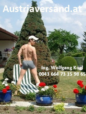 Gratis DVD 28 ab einen Einkauf von 99 €! Bilder Wolfi!