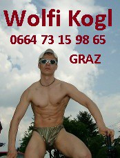 Gratis DVD 28 ab einen Einkauf von 99 €! Bilder Wolfi!