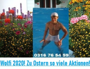 Gratis DVD 28 ab einen Einkauf von 99 €! Bilder Wolfi!
