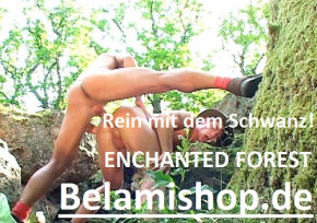 Enchanted Forest - Kein Mindermengenzuschlag Portofrei
